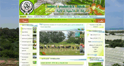 Desktop Screenshot of cawjijel.org